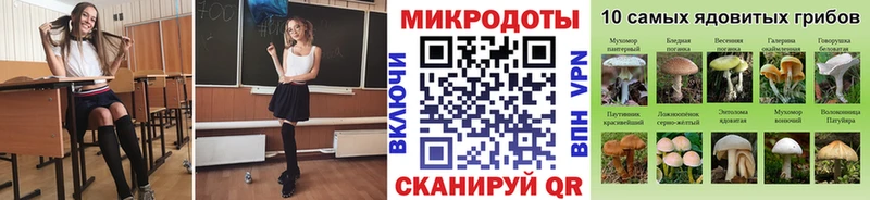 Псилоцибиновые грибы мухоморы Приморско-Ахтарск