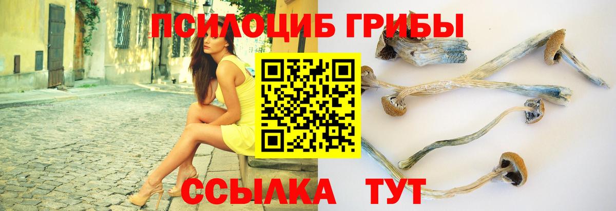 Псилоцибиновые грибы Magic Shrooms Приморско-Ахтарск