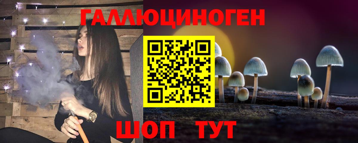 Галлюциногенные грибы мицелий  где купить наркотик  Приморско-Ахтарск  Вход с VPN 